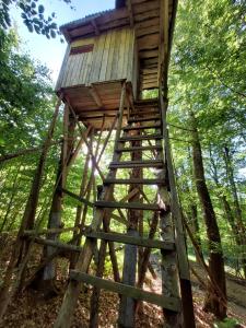 Fotografie z fotogalerie ubytování Tree house with private meadow in the middle of the forest v destinaci Bytca + 13 fotografií