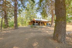a house in the middle of a forest at Rustic Cabin with Patio 8 Mi to Kings Canyon Park in Miramonte
