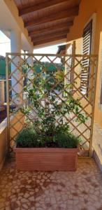 A garden outside B&B Agrifoglio