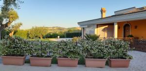A garden outside B&B Agrifoglio