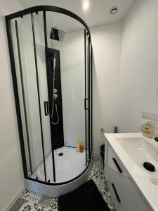 a bathroom with a shower and a white sink at Studio 2ème étage - Centre-ville - Local vélos disponible in Mayenne +7 photos