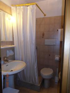 a bathroom with a sink and a toilet and a shower at Hotel Alle Alpi in Alleghe