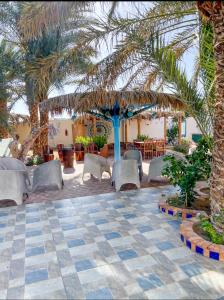 a resort with a palm tree and chairs and tables at Miramar Camp Dahab in Dahab +59 photos