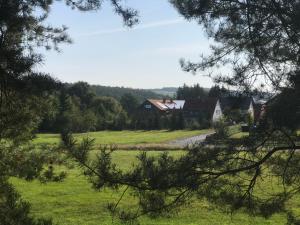 a view of a field with houses and trees at Bimbacher Betten in Bimbach