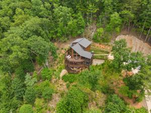 eine Luftaufnahme eines Hauses mitten in einem Wald in der Unterkunft Luxury 4Br Game Room Hot tub long-range Mtn view in Blue Ridge