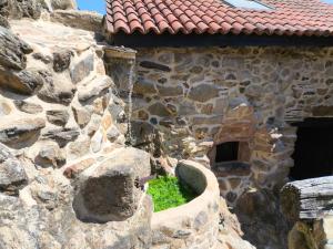 an old stone building with a plant in the corner at Xiravai-Ribeira Sacra in Peares