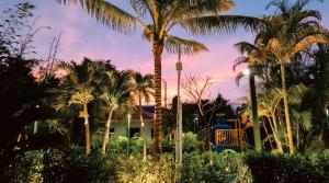 巴亚希贝Soficu Hotel El Edén Dominicus的房子前面的一棵棕榈树