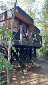Foto sihtkohas Choshuenco asuva majutusasutuse Lodge Punahue galeriist