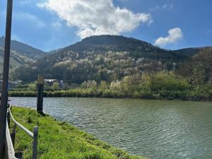 a body of water with a mountain in the background at Altes Eichamt in Bernkastel-Kues +10 photos