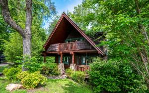 a log cabin in the woods with trees at Beary Inn and Sweets in Pigeon Forge