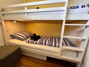 ein Etagenbett mit einer schwarzen Katze, die auf der unteren Koje sitzt in der Unterkunft Residenz am Yachthafen, Whg 4 in Grömitz + 11 Fotos