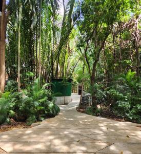 a path in a park with palm trees and plants at hiddenwoods in Bang Chak