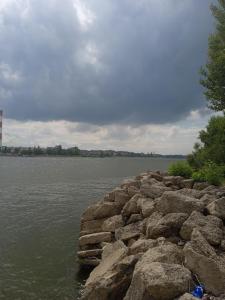 Billede fra billedgalleriet på Beograd Oaza, Palilula i Krnjača