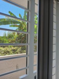 Afbeelding uit fotogalerij van Green54oro in Santo Spirito