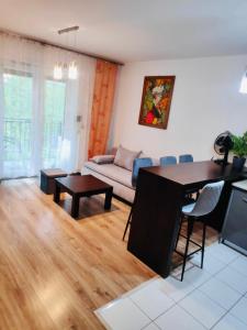 a living room with a couch and a table at Apartament Podmiejska in Jastrzębie Zdrój