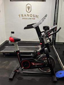 Fitnes centar i/ili fitnes sadržaji u objektu Tranquil Oasis Hotel