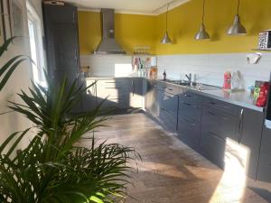 桑讷菲尤尔Bugårdsåsen1, whole house的厨房配有蓝色橱柜和盆栽植物
