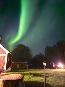 an image of the aurora dancing in the sky at Mysan in Glommersträsk