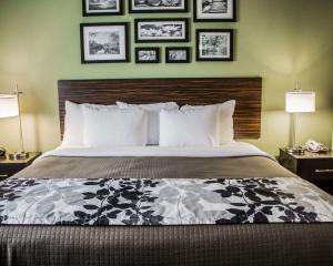 a bedroom with a large bed with pictures on the wall at Sleep Inn & Suites Harrisburg - Hershey Southwest in Harrisburg +19 photos