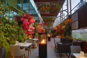 Fotografie z fotogalerie ubytování Hilton Amman v destinaci Amman
