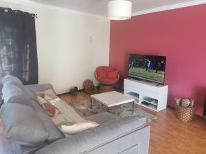 ein Wohnzimmer mit grauem Sofa und einem Fernseher in der Unterkunft Madeira house garden Villa in Estreito de Câmara de Lobos