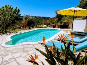 an image of a swimming pool with an umbrella and chairs at Quinta Vida Verde in Alvaiázere