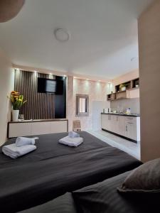 Kuchyň nebo kuchyňský kout v ubytování Apartments Green Beograd