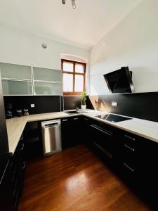Η κουζίνα ή μικρή κουζίνα στο Apartament Lux-Stone