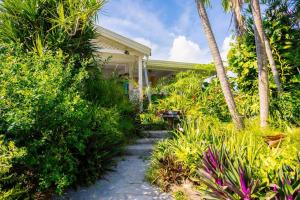 a house with a garden with palm trees and a walkway at Villa Le Ropert'Zen in Saint-François