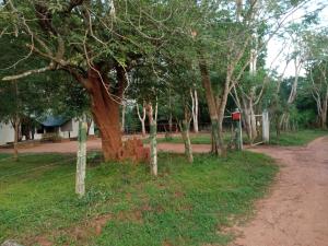Κήπος έξω από το Park view Bungalow Wilpattu +5 φωτογραφίες