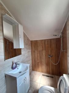 a bathroom with a sink and a shower and a toilet at Dobrota Comfort in Kotor