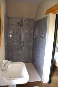 un bagno con doccia e lavandino di Bed & Breakfast Puur Natuur Putten, met privé sauna a Putten
