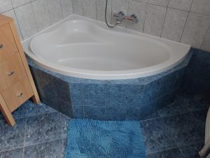 Koupelna v ubytování Apartmán Nová Cerekev