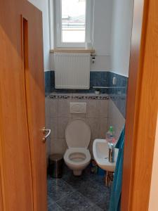 Koupelna v ubytování Apartmán Nová Cerekev