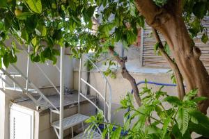 Μπαλκόνι ή βεράντα στο The Tiny House of the Lemon Tree