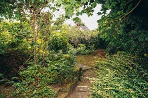 einen Garten mit Bäumen und Sträuchern und einem Pfad in der Unterkunft Barroon Castle Apartments - Next to East Midlands Airport with Free Parking in Castle Donington