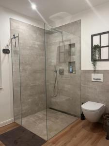 a bathroom with a glass shower with a toilet at Private Apartment & rooms near fairground Hannover in Hannover
