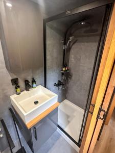 a bathroom with a sink and a shower at ARIETES MARMONT Tiny Houses in Štrbské Pleso +36 photos