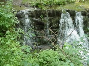 a waterfall in the middle of a forest at Pension Ochsen, Ferienwohnungen in Löffingen +4 photos