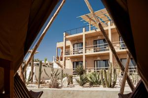 a view from a tent of a building with cactus at Baja Temple in Todos Santos