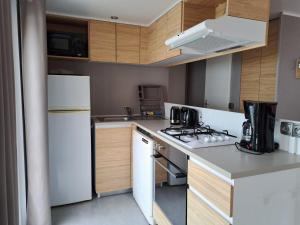 a small kitchen with white appliances and wooden cabinets at HARMONIE Mobil home au cœur d'un camping 5 étoiles in Lit-et-Mixe +18 photos