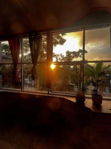 a sunset seen through a window with potted plants at Madhuban Homestay, Natraj Chowk in Rishīkesh