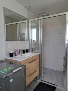 a bathroom with a shower and a sink at Cosy in Lit-et-Mixe