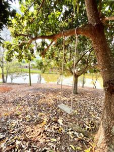 Fotografie z fotogalerie ubytování Chácara Primavera v destinaci Monte Sião