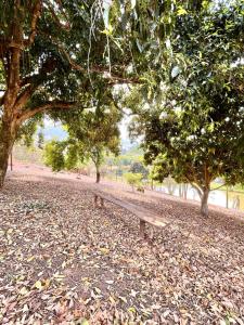 Fotografie z fotogalerie ubytování Chácara Primavera v destinaci Monte Sião