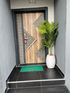 Fotografie z fotogalerie ubytování Harmony Appartment v destinaci Aja