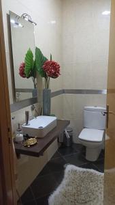 une salle de bains avec lavabo, toilettes et miroir dans l'établissement Retiro da Magnólia, à Sobrosa 1 autre photo