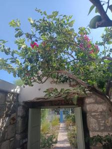 a door with a bunch of flowers on it at Latmos 1860 in Skala
