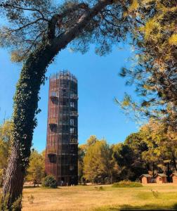 Foto de la galeria de Hotel Different a Divjakë