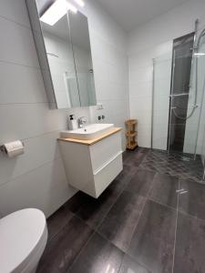 Koupelna v ubytování Villach City Comfort Suite + 18 fotografií